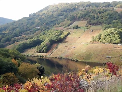 DSCN9839 DSCN9839
