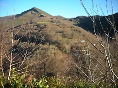 DSCN2405 DSCN2405