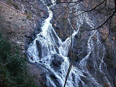 DSCN6679 DSCN6679