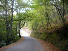 DSCN9349 DSCN9349