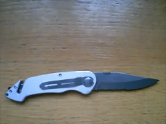 GM clip lateral