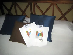 IMG_0873 IMG_0873