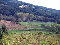 DSCN5367 DSCN5367