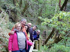 DSCN0732 DSCN0732