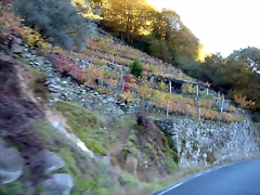 DSCN6492 DSCN6492
