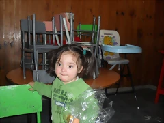 SDC13137 SDC13137