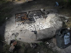 SDC14795 SDC14795