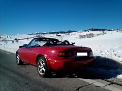 IMG_20131128_134035 IMG_20131128_134035