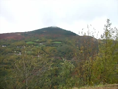 DSCN5959 DSCN5959
