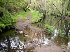 DSCN4148 DSCN4148