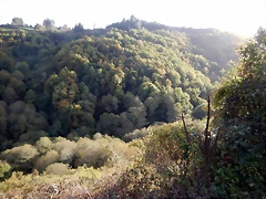 DSCN8445 DSCN8445