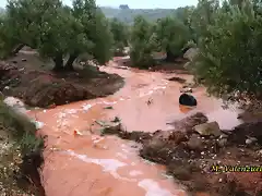 05, agua en las olivas, marca