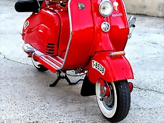 IMG_7155 IMG_7155