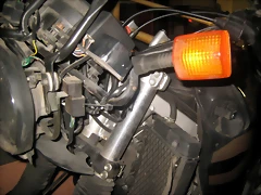 IMG_1754 IMG_1754