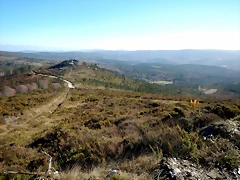 DSCN1391 DSCN1391