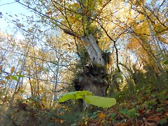 DSCN9314 DSCN9314