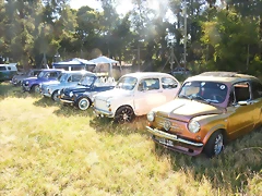 P1070963 P1070963