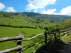 DSCN0685 DSCN0685