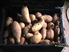 15, patatas, marca