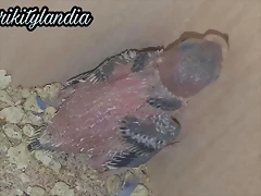 FB_IMG_1533584407180 FB_IMG_1533584407180