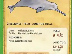 delfin del ganges