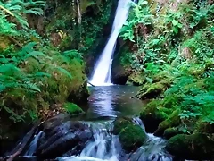 Valle y Bosque de Faedo Valle y Bosque de Faedo