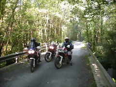 DSCN6578 DSCN6578