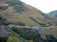 DSCN6554 DSCN6554