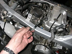 DSCN1562 DSCN1562
