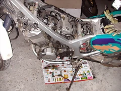 DSCN1559 DSCN1559