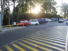 SDC14244 SDC14244