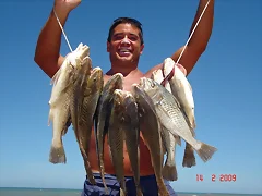 pesca corvinas remanso