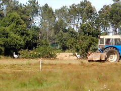 DSCN9575 DSCN9575