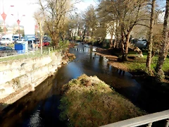 DSCN1132 DSCN1132