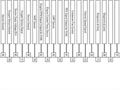 SIEMENS Ecu Beta I engines Tiburon RD(55pins)