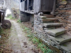 DSCN0353