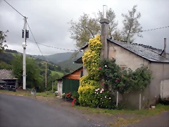 DSCN4734 DSCN4734