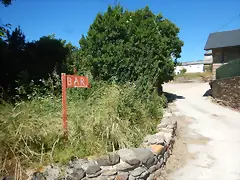 DSCN3634 DSCN3634