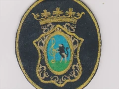 ESCUDO BANDA 001