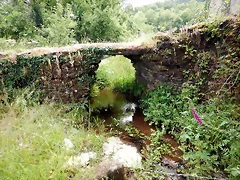 DSCN4359 DSCN4359