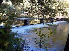 DSCN9734 DSCN9734