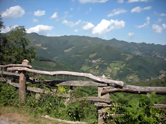 DSCN3847 DSCN3847