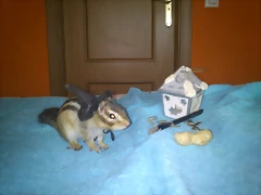 ardi Bichito el brujo novato