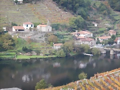 DSCN9845 DSCN9845
