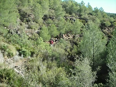 PICT0015