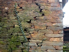 DSCN1175 DSCN1175