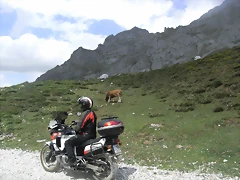 R0012996 R0012996