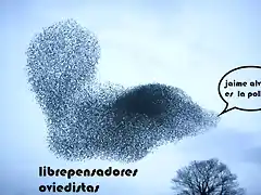 librepensadores