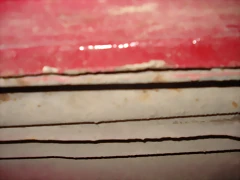DSC03428