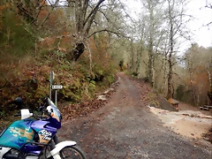 DSCN3140 DSCN3140